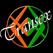 www.transexpalermo.it